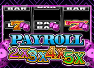 Payroll 2x3x4x5x 9660