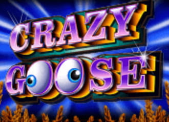 Crazy Goose