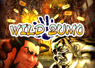 Wild Sumo