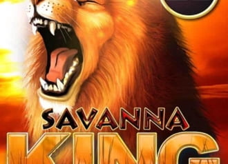 Savanna King XL