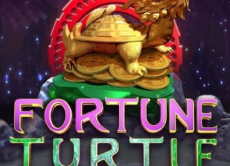 Fortune Turtle