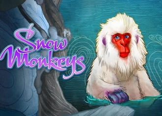 Snow Monkeys