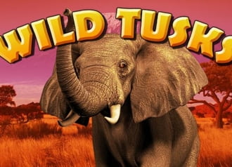 Wild Tusks