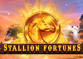 Stallion Fortunes