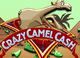 Crazy Camel Cash