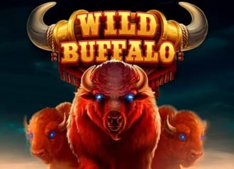 Wild Buffalo