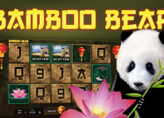 Bamboo Bear