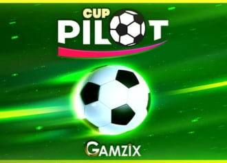 Pilot Cup