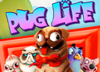 Pug Life 96