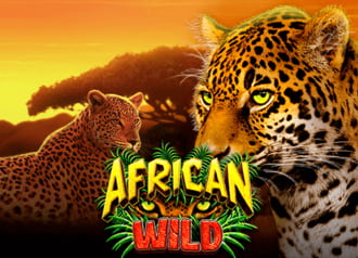 African Wild