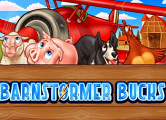 Barnstormer Bucks