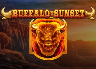 Buffalo Sunset