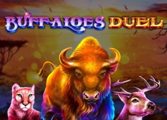 Buffaloes Duel