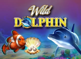 Wild Dolphin