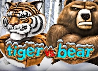 Tiger vs Bear