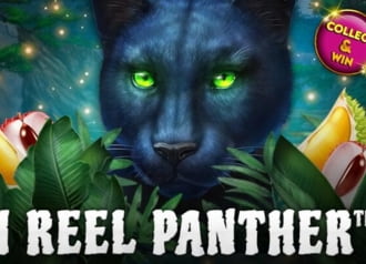 1 Reel Panther