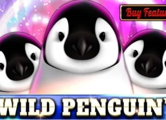 Wild Penguin