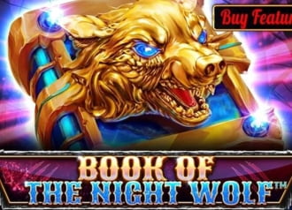 Book Of The Night Wolf