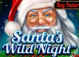 Santa’s Wild Night