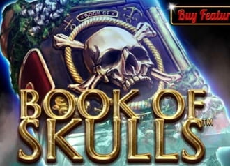 Book Of Skulls