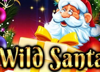 Wild Santa