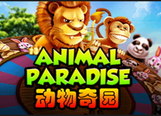 Animal Paradise