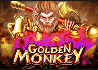 Golden Monkey