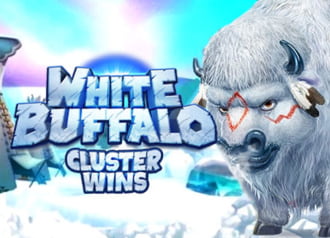 White Buffalo