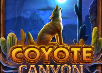 Coyote Canyon