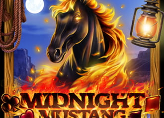 Midnight Mustang