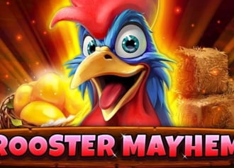 Rooster Mayhem