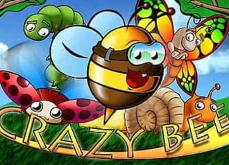 Crazy Bee